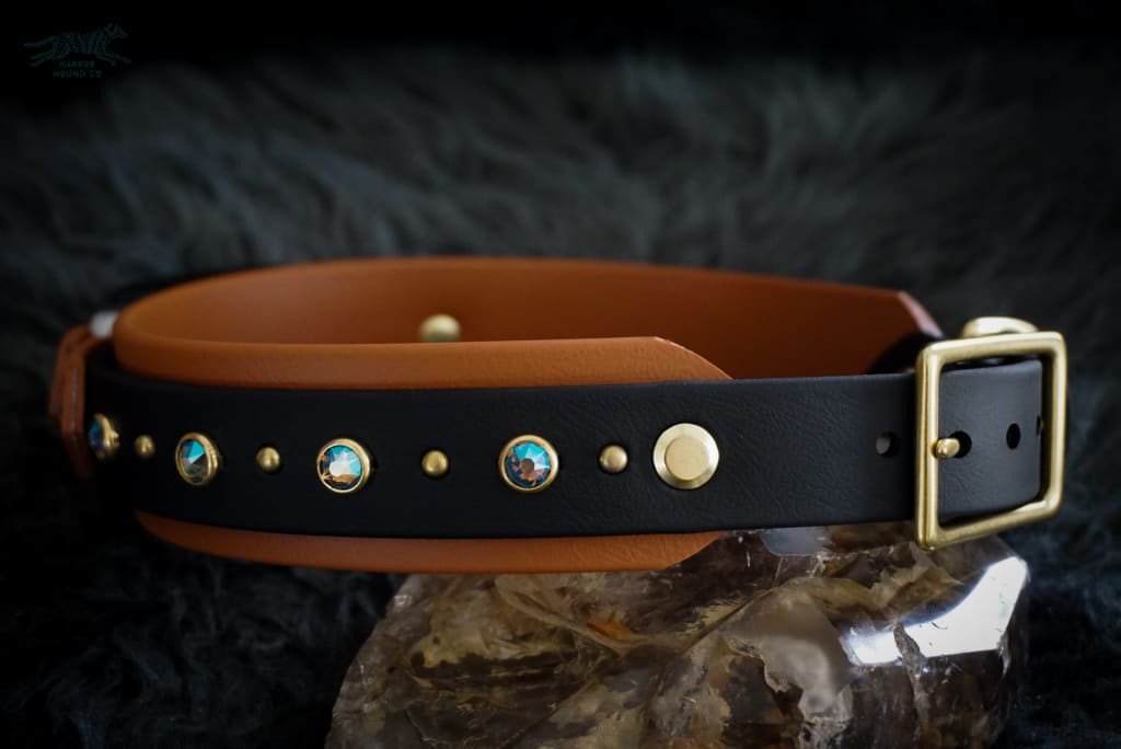 Fi Compatible 1.5 TOFINO Studded Buckle Collar - Waterproof Collar