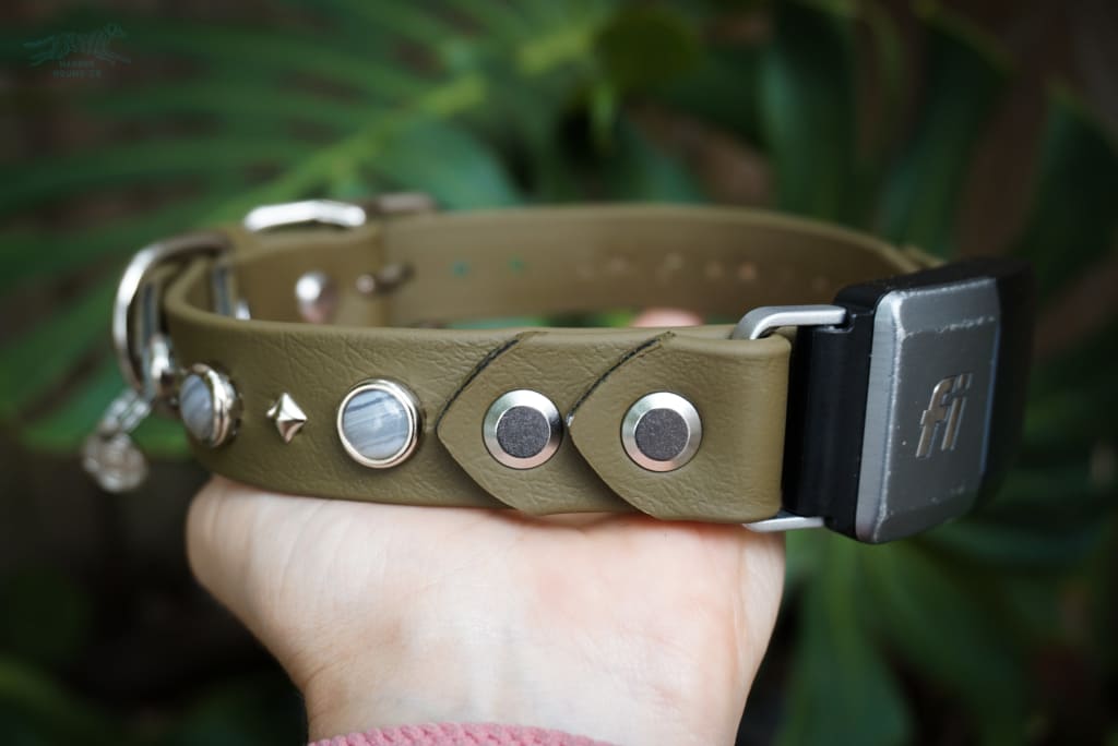 Fi Compatible 1 GAIA Gemstone Buckle Collar - Please Choose One - Waterproof Collar
