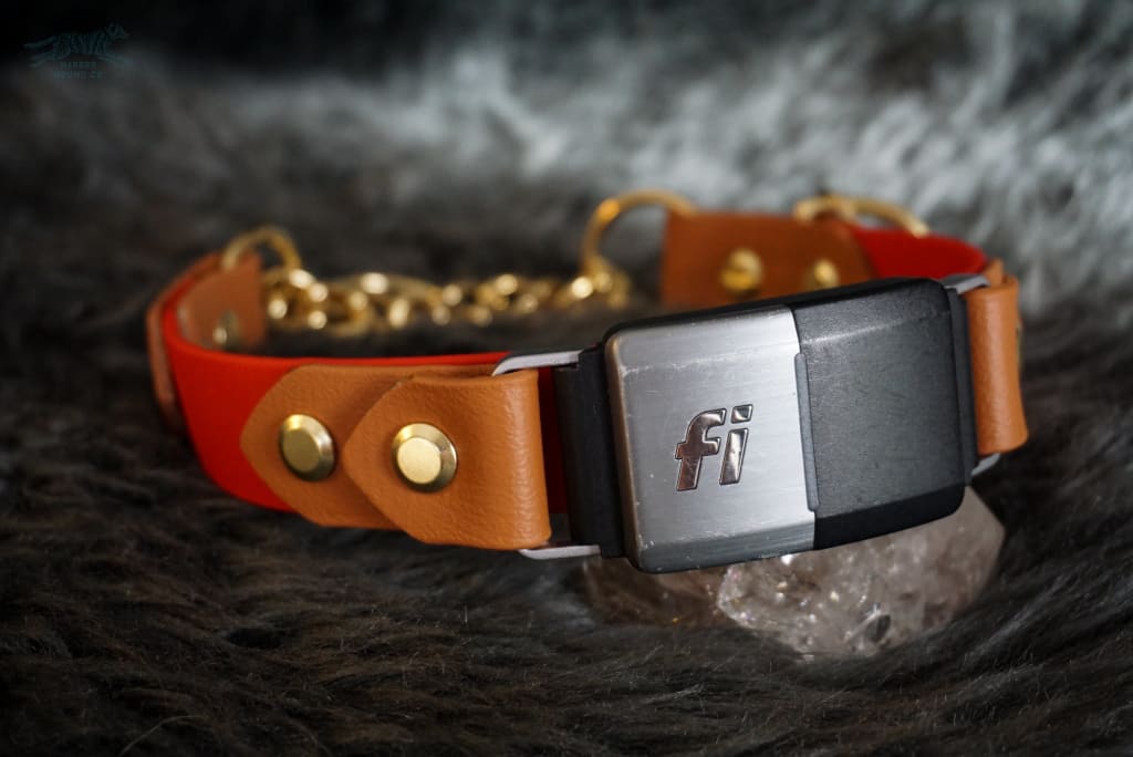 Fi Compatible 1 Rua Martingale Collar - Waterproof Collar