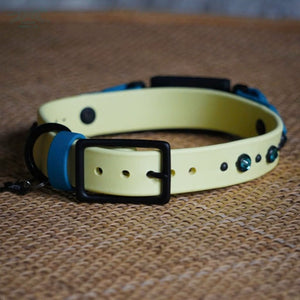 Fi Compatible 1 TOFINO Studded Buckle Collar - Waterproof Collar
