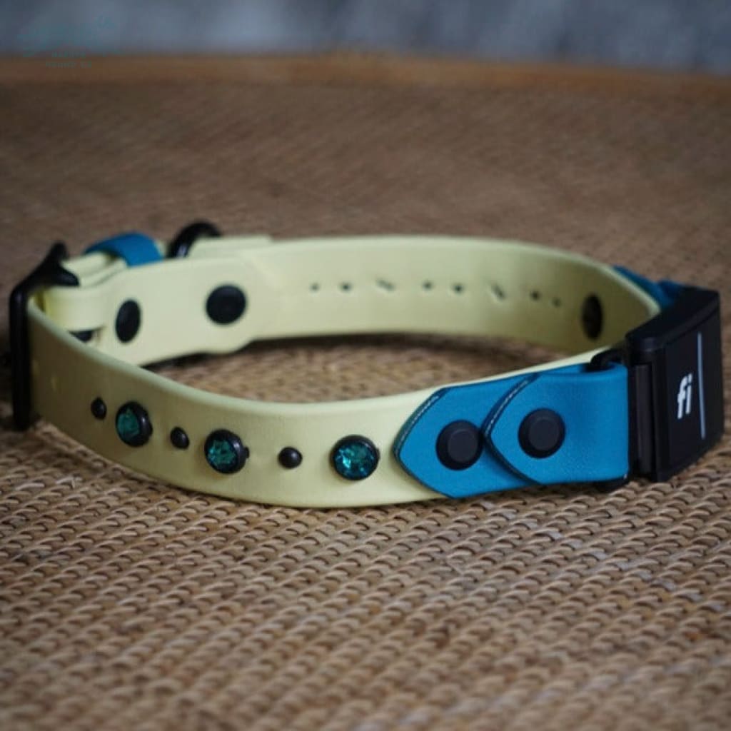 Fi Compatible 1 TOFINO Studded Buckle Collar - Waterproof Collar
