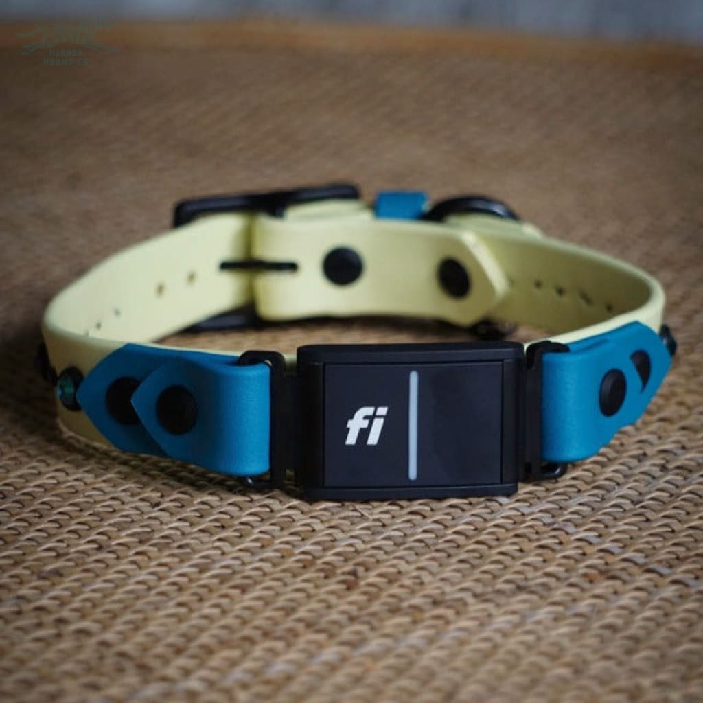 Fi Compatible 1 TOFINO Studded Buckle Collar - Waterproof Collar