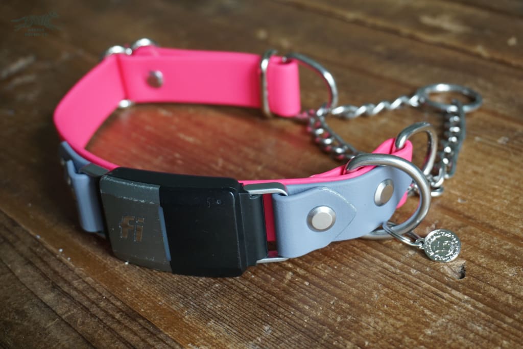 Fi Compatible 1 wide adjustable Martingale Buckle Collar - Waterproof Collar