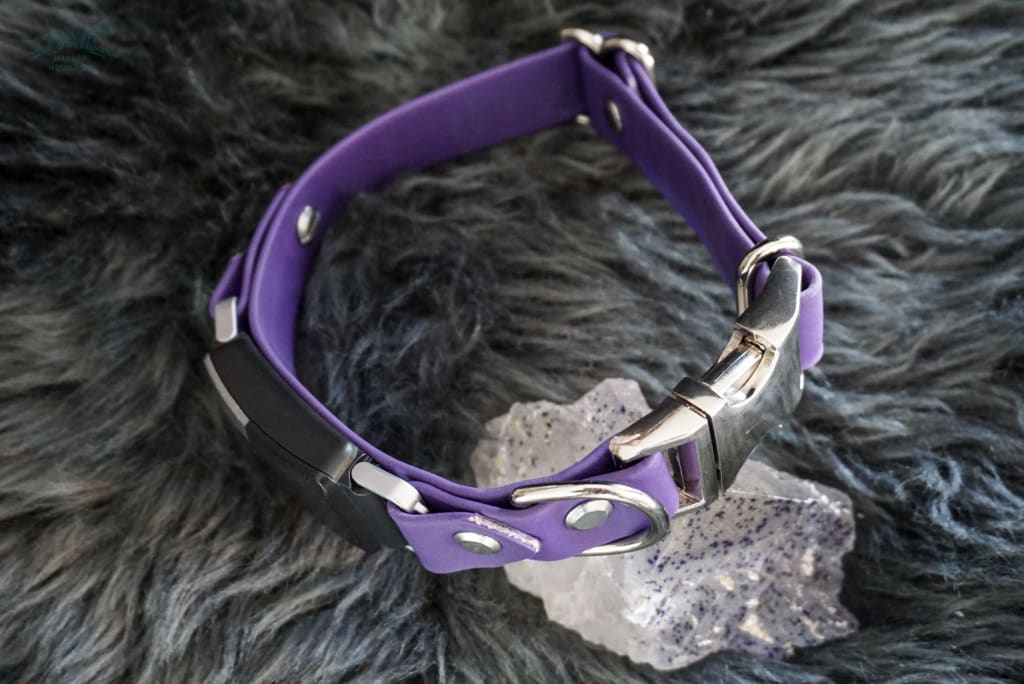 Fi Compatible 1 wide Side-Release Buckle Collar - Waterproof Collar