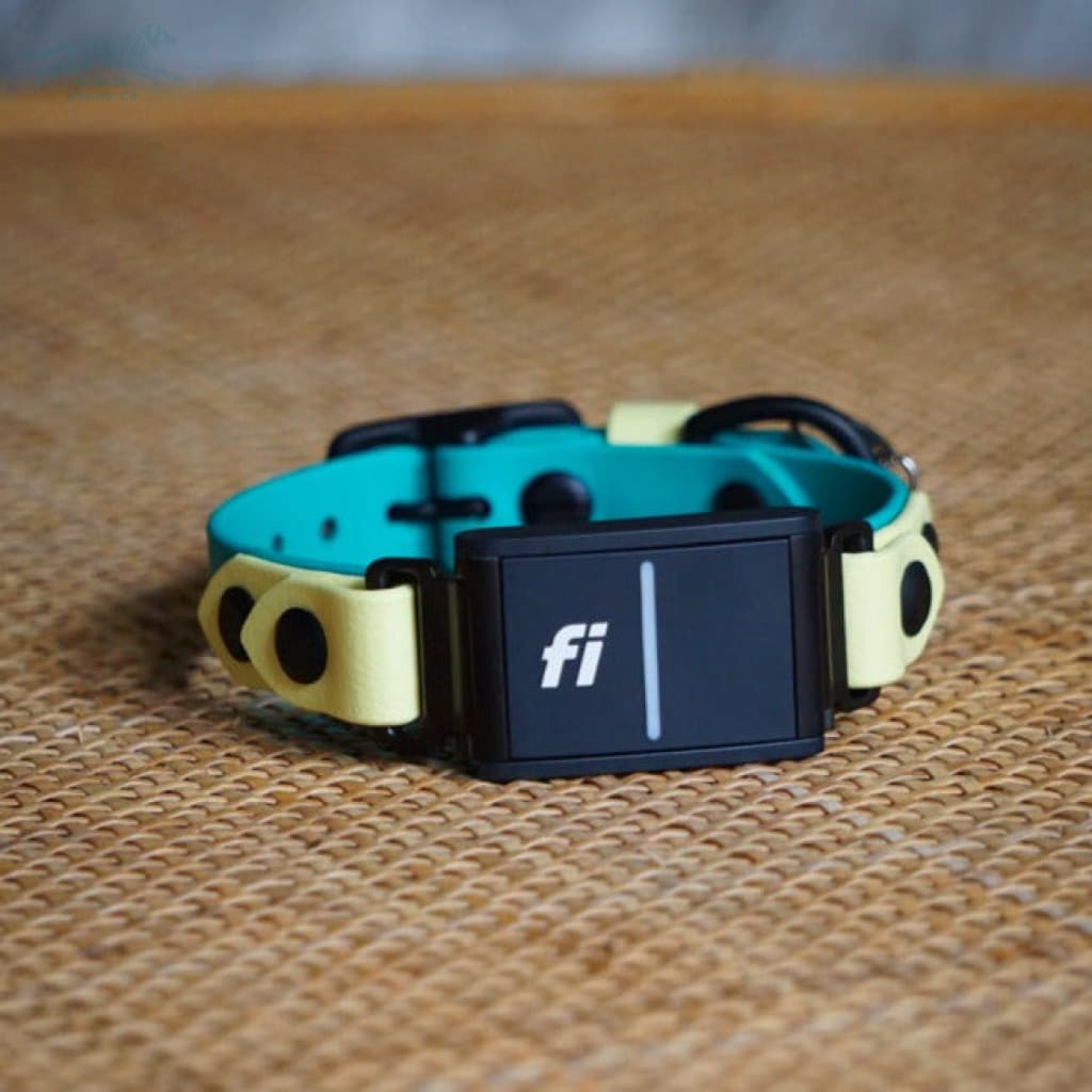 Fi Compatible 3/4 Waterproof Buckle Collar - Waterproof Collar
