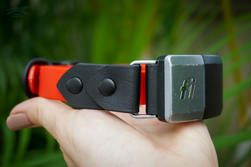 Fi Compatible 3/4 Waterproof Buckle Collar - Waterproof Collar