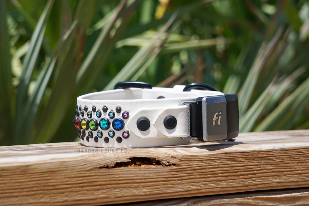 Fi Compatible AURELIE 1.5 Crystal Studded Buckle Collar - Waterproof Collar