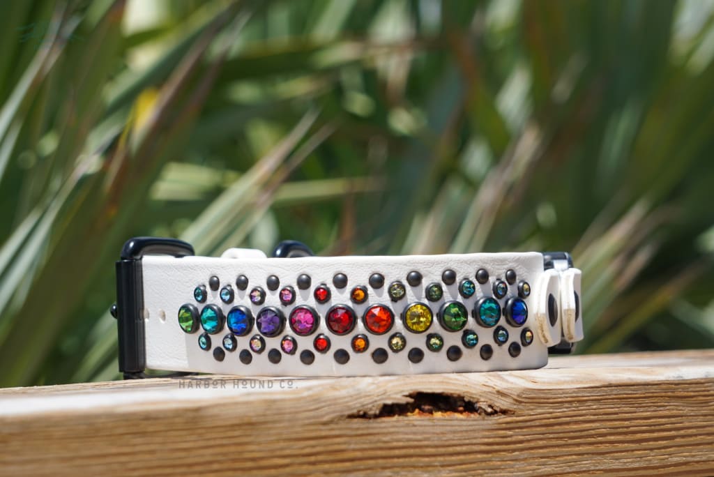 Fi Compatible AURELIE 1.5 Crystal Studded Buckle Collar - Waterproof Collar