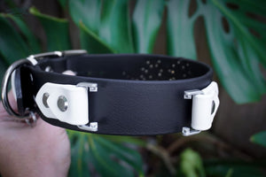 Fi Compatible OPHIDIA 1.5 Studded Buckle Collar - Waterproof Collar