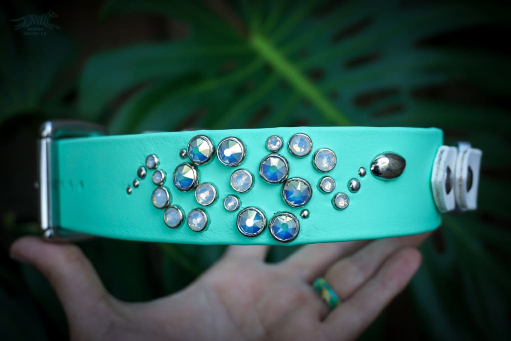 Fi Compatible OPHIDIA 1.5 Studded Buckle Collar - Waterproof Collar