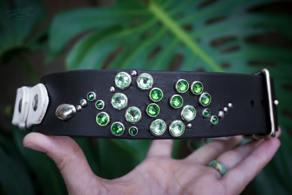 Fi Compatible OPHIDIA 1.5 Studded Buckle Collar - Waterproof Collar