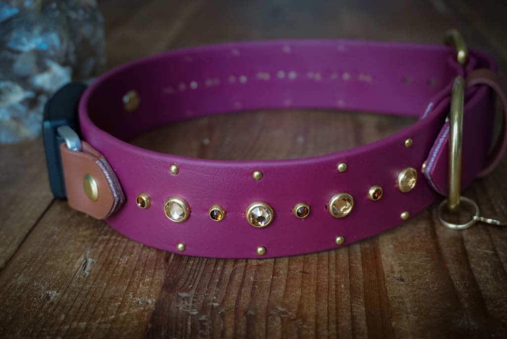 Fi Compatible SHASTA 1.5 Studded Buckle Collar - Waterproof Collar