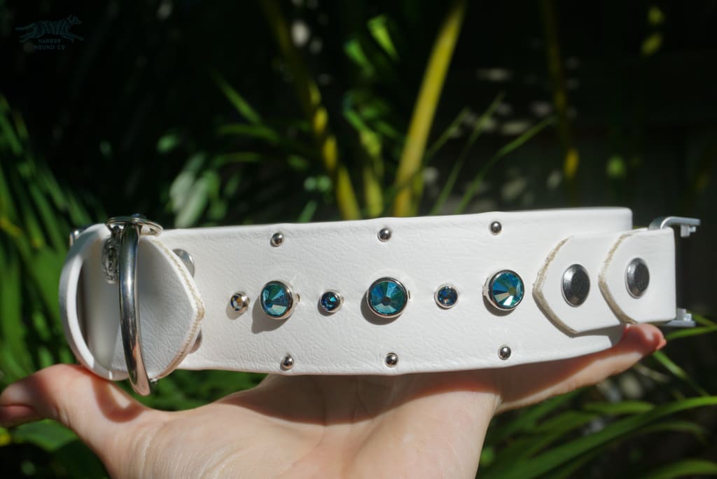 Fi Compatible SHASTA 1.5 Studded Buckle Collar - Waterproof Collar