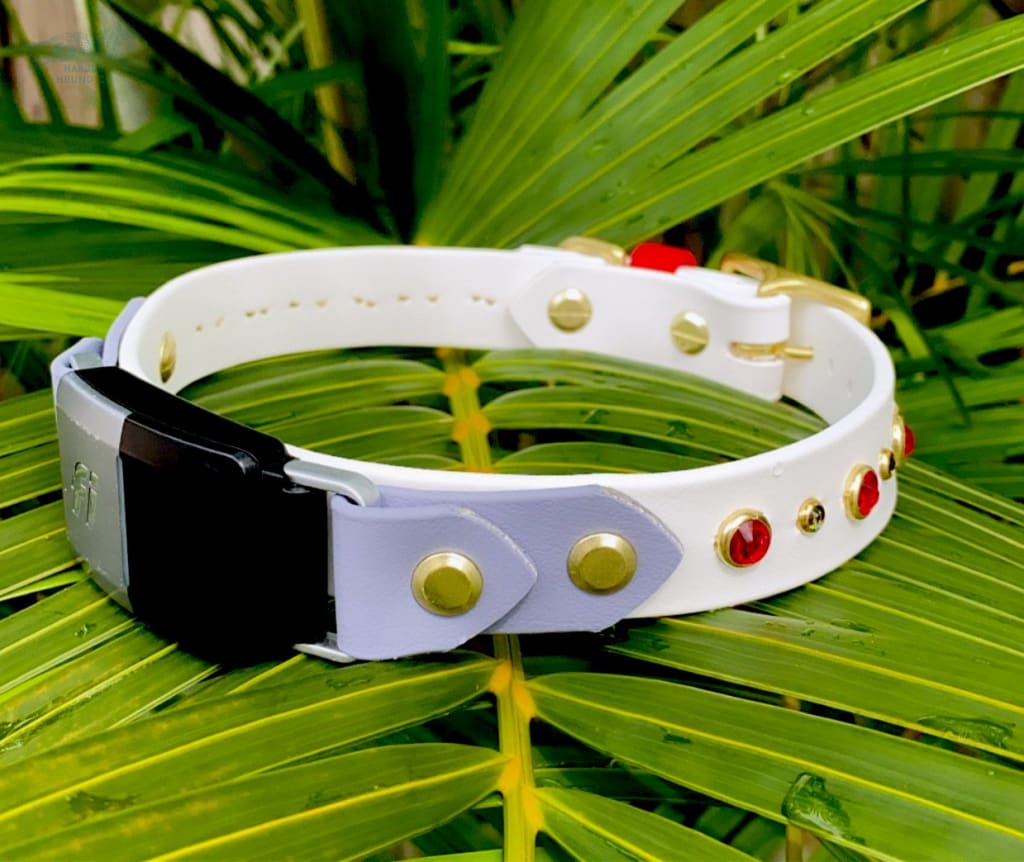 Fi Compatible TALA 1 Studded Buckle Collar - Waterproof Collar