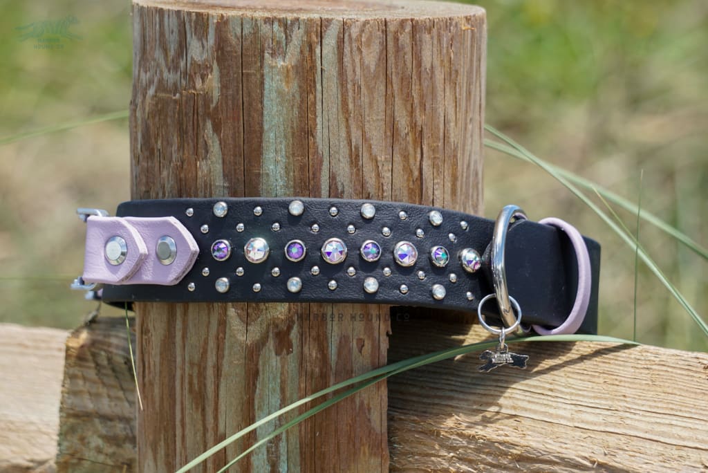 Fi Compatible VALHALLA 1.5 Crystal Studded Buckle Collar - Waterproof Collar