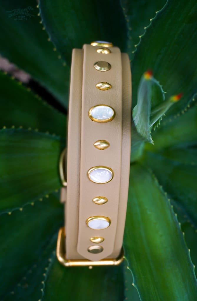 HERA 1.5 Gemstone Buckle Collar - Waterproof Collar