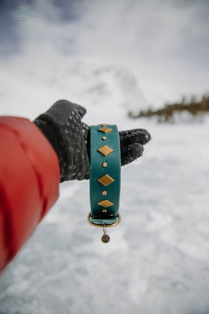 HILUX 1.5 Crystal Studded Buckle Collar - Waterproof Collar