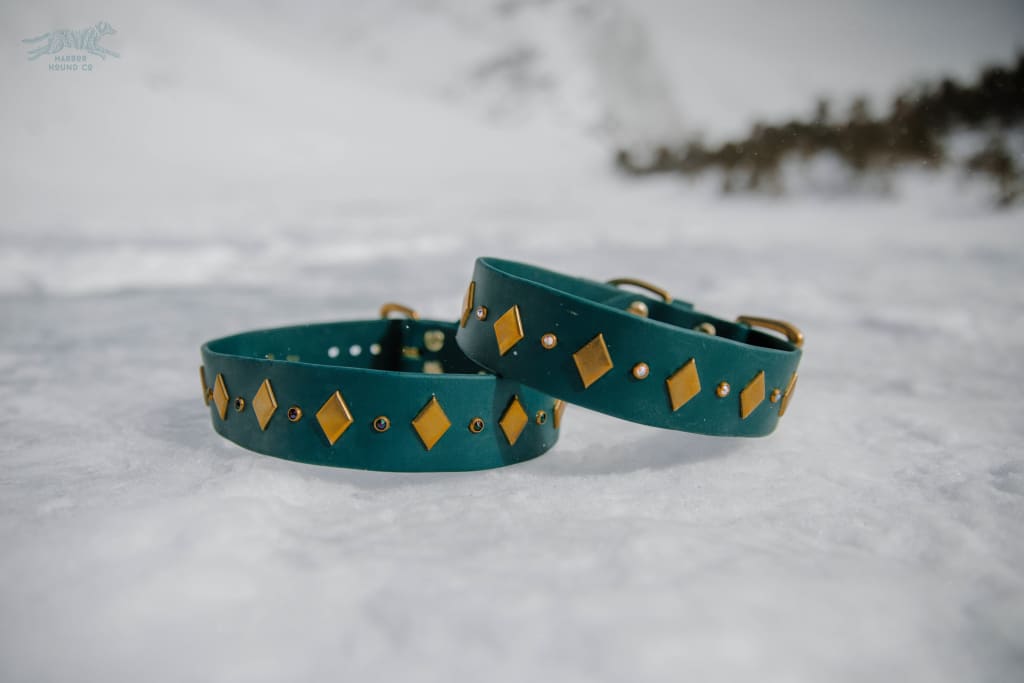 HILUX 1.5 Crystal Studded Buckle Collar - Waterproof Collar