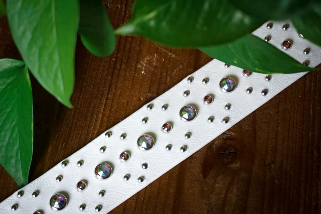 KOYA 1.5 Crystal Studded Buckle Collar - Waterproof Collar