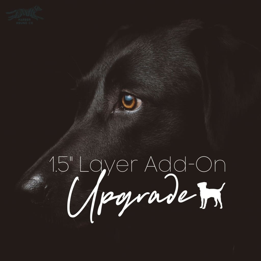 Layer Upgrade - Waterproof Collar