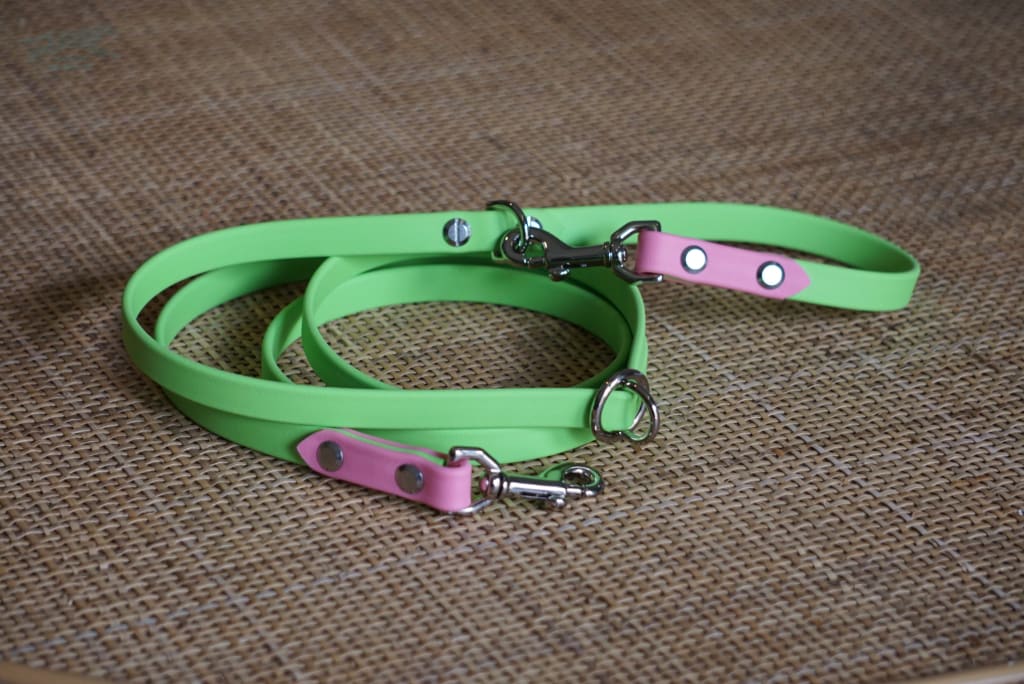 Lime & Light Pink 5/8 Odyssey Adjustable Leash