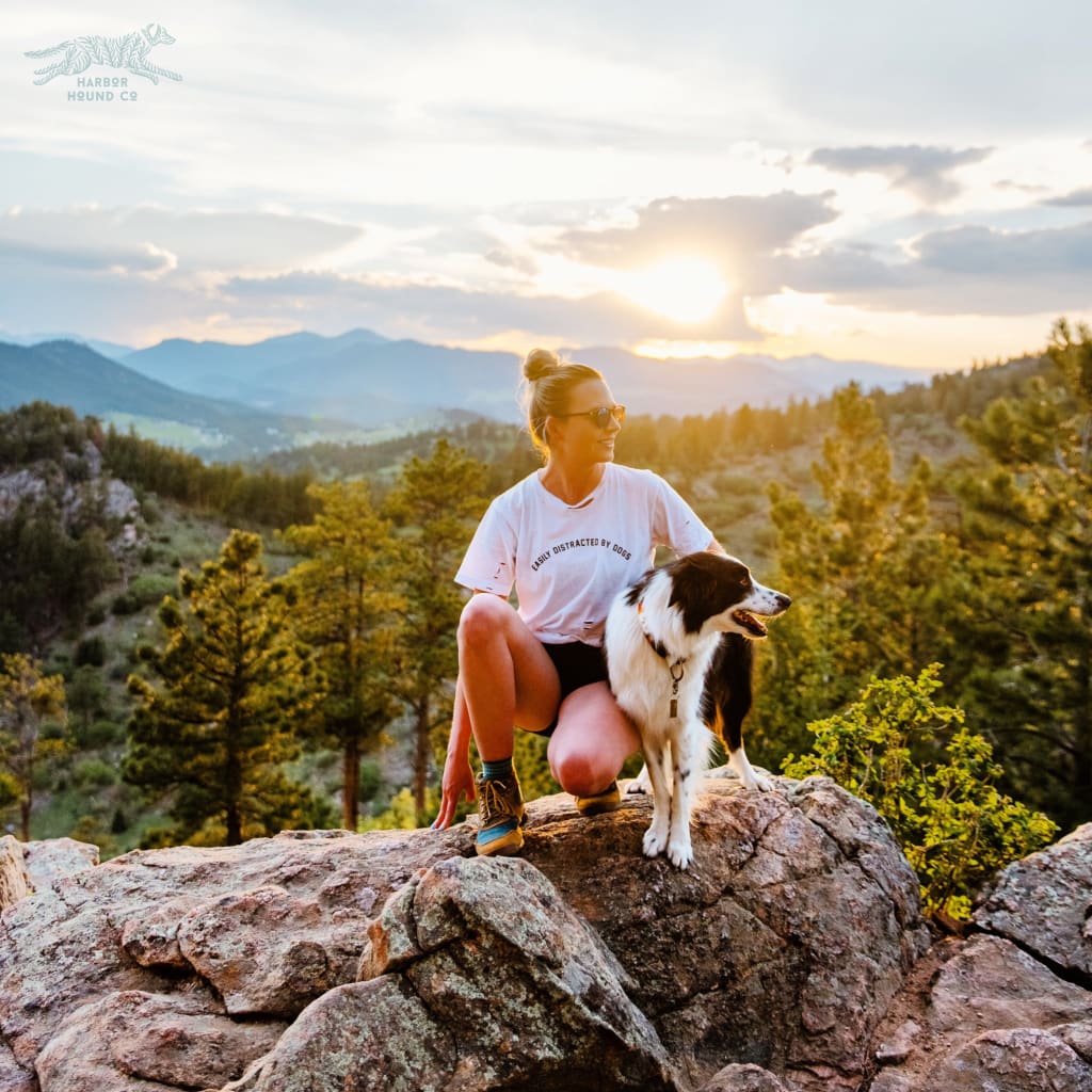 LULUSIMONSTUDIO - Easily Distracted by Dogs - Destructed Tee - Accessories