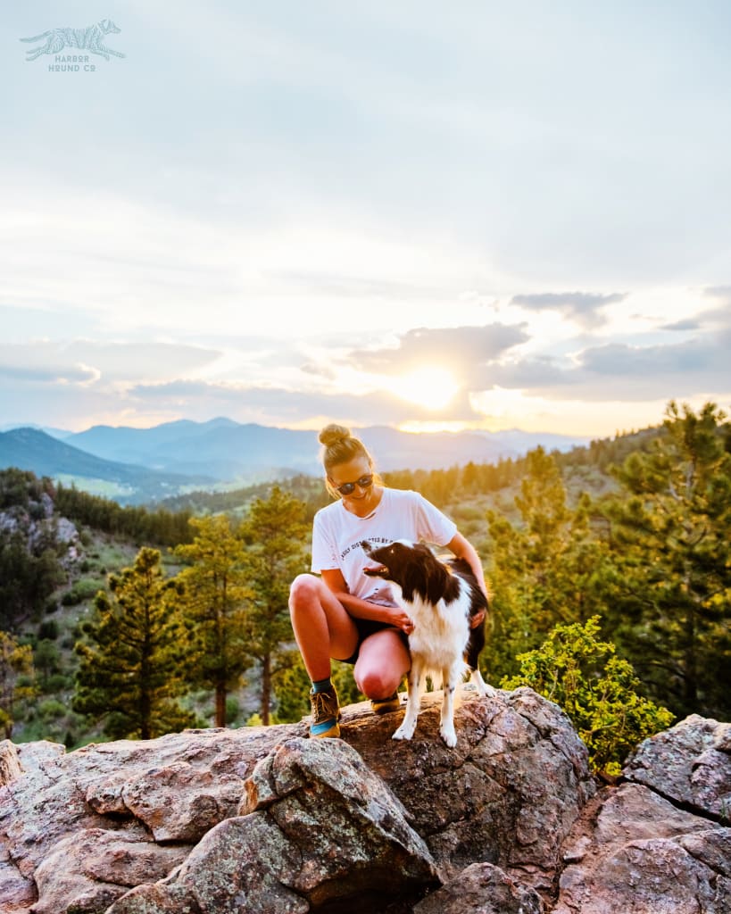 LULUSIMONSTUDIO - Easily Distracted by Dogs - Destructed Tee - Accessories
