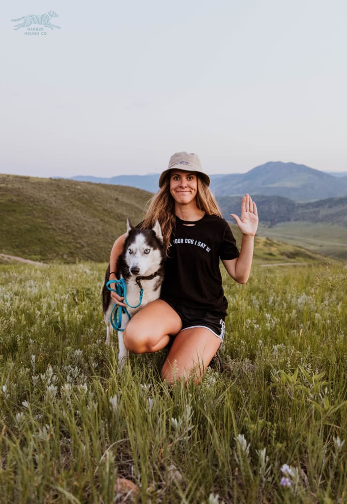 LULUSIMONSTUDIO - Tell Your Dog I Say Hi Destructed Tee - Accessories