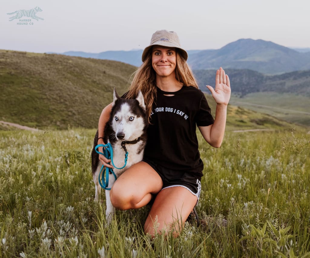 LULUSIMONSTUDIO - Tell Your Dog I Say Hi Destructed Tee - Accessories