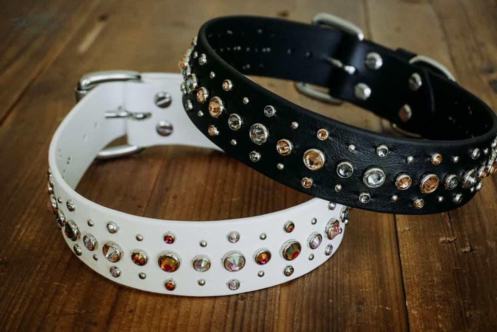 NORTHULDRA 1.5 Crystal Studded Buckle Collar - Waterproof Collar