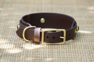 ONE OF A KIND 1.5 Taliesin Buckle Collar 14-16