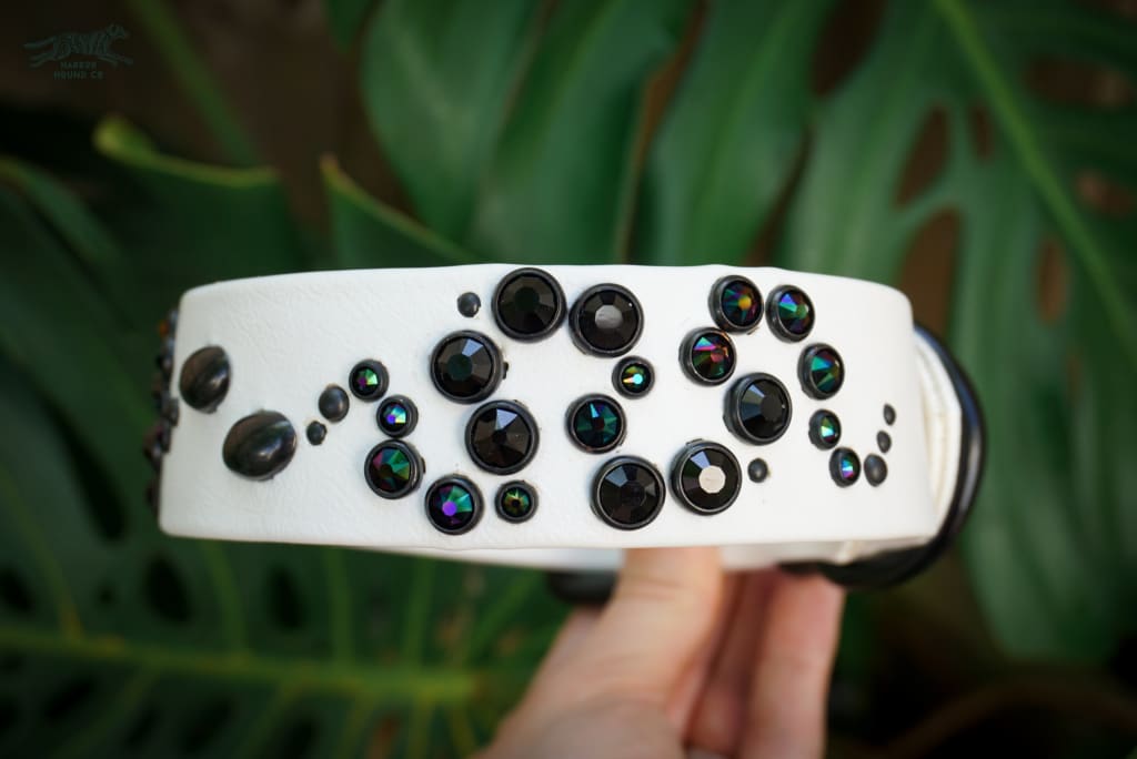 OPHIDIA 1.5Studded Buckle Collar - Waterproof Collar