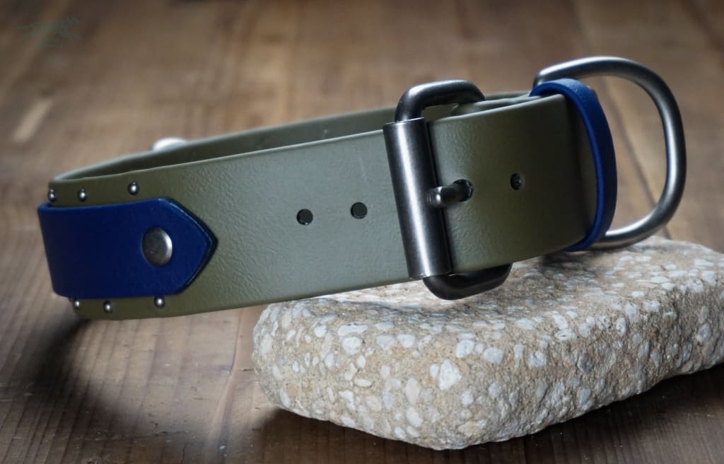 ORION 1.5 Studded Buckle Collar - Waterproof Collar