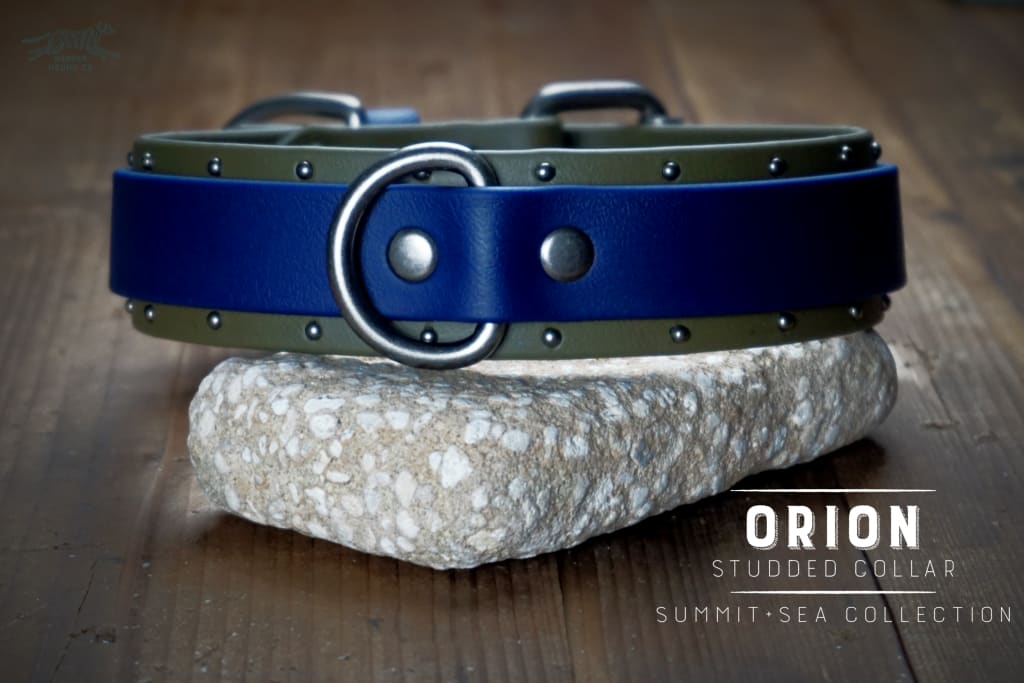 ORION 1.5 Studded Buckle Collar - Waterproof Collar