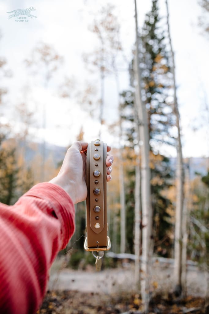 OURAY 1.5 Gemstone Buckle Collar - Waterproof Collar