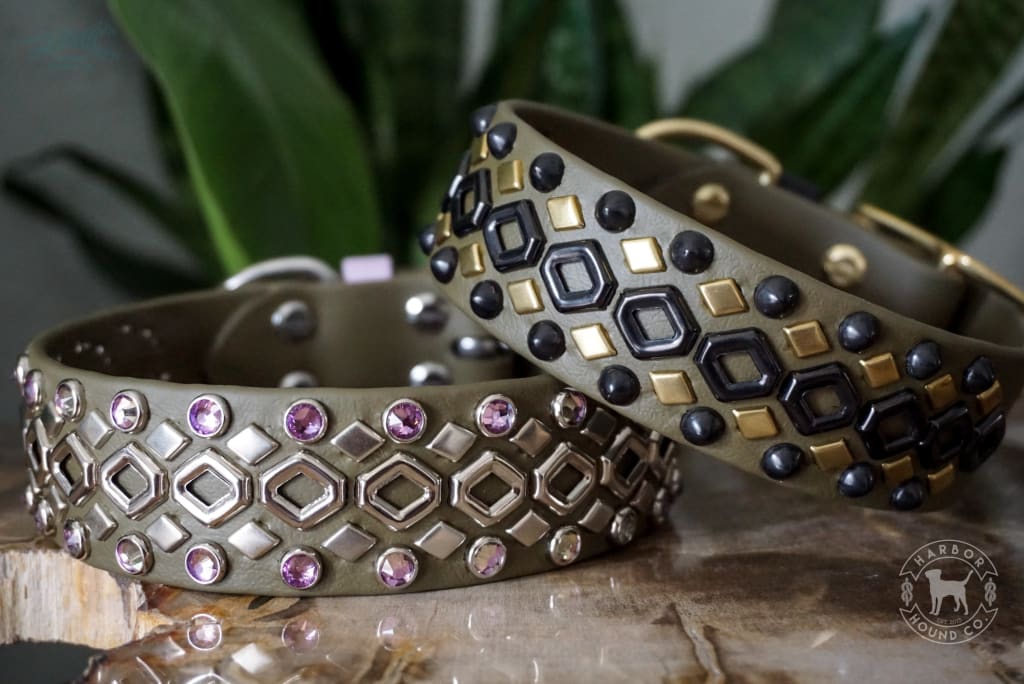 OUROBOROS 1.5 Studded Buckle Collar - Waterproof Collar