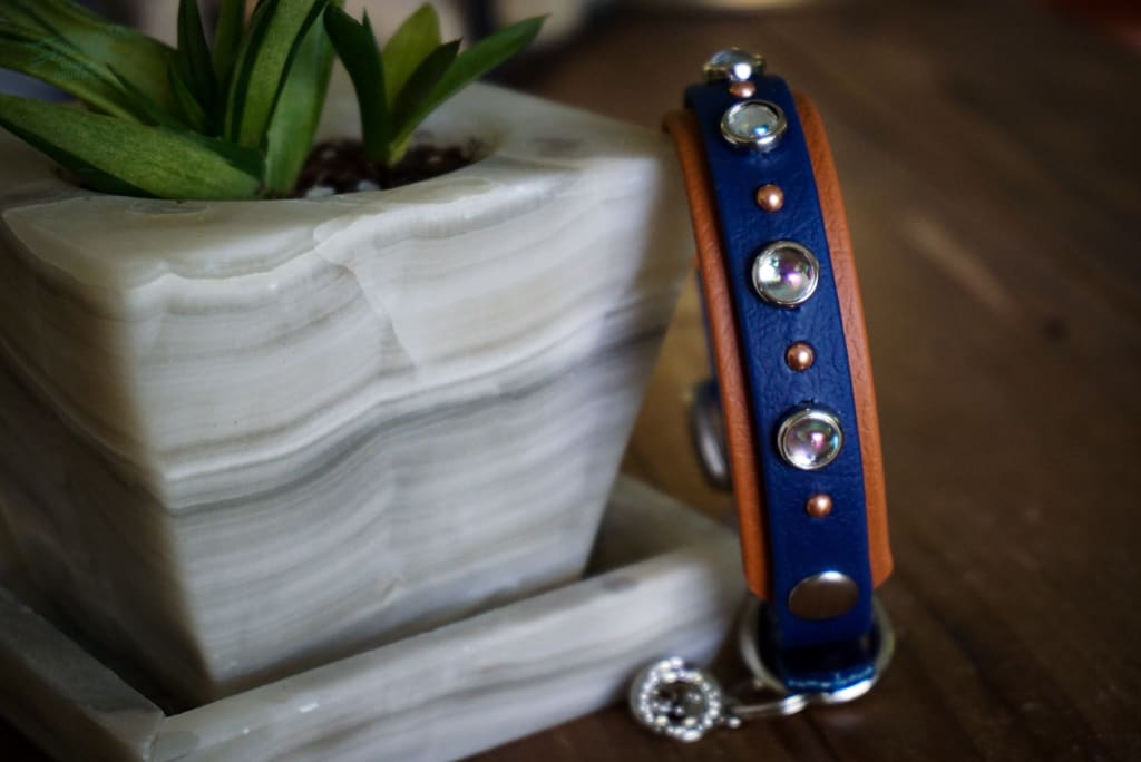 Petite TOFINO Layered Buckle Collar - Waterproof Collar