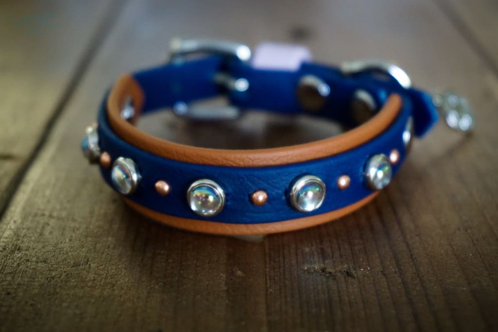 Petite TOFINO Layered Buckle Collar - Waterproof Collar