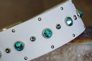 SHASTA 1.5 Crystal Studded Buckle Collar - Waterproof Collar