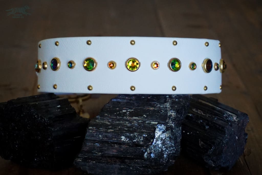 SHASTA 1.5 Crystal Studded Buckle Collar - Waterproof Collar
