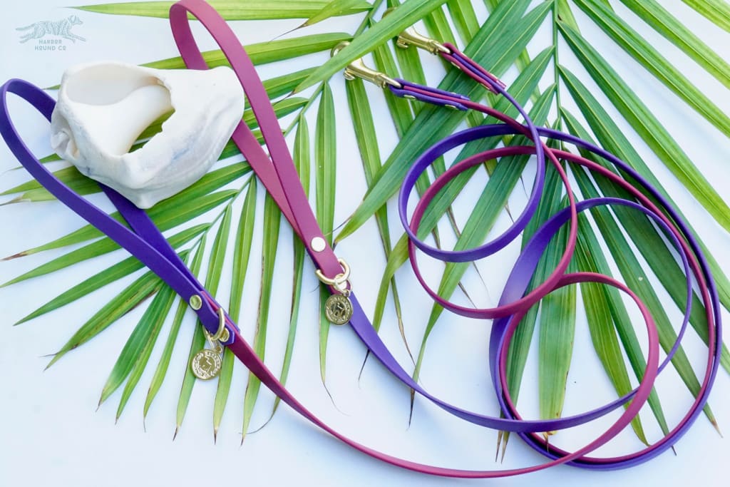 Small 1/2 Two-Tone Waterproof Leash - Waterproof Leash