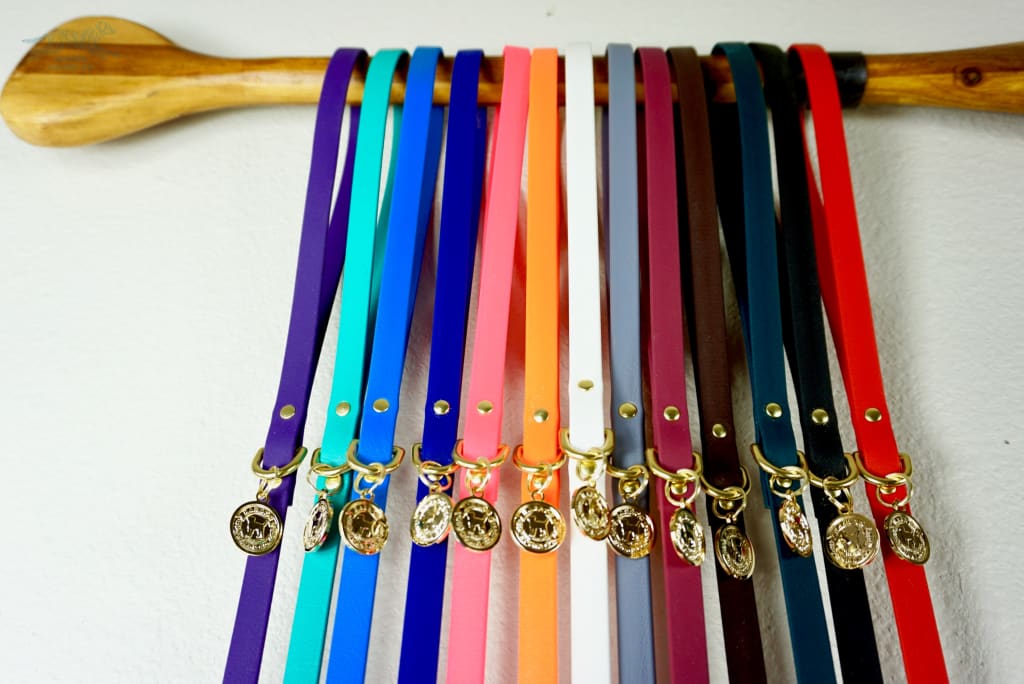 Small Waterproof Leash - Waterproof Leash