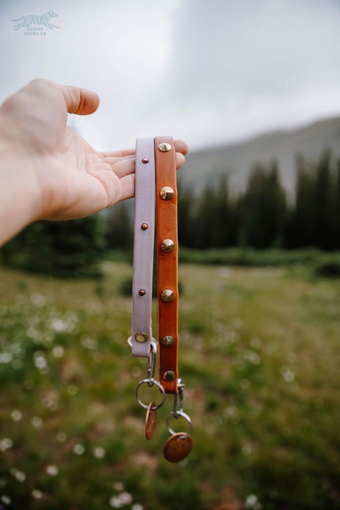 The Everyday Collar - Waterproof Collar