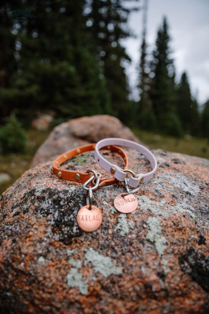 The Everyday Collar - Waterproof Collar