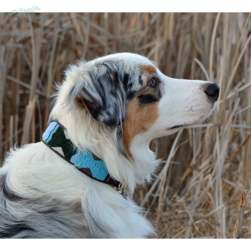 The Kenyan Collection - Jacaranda Beaded Dog Collar - Beaded Leather Collars