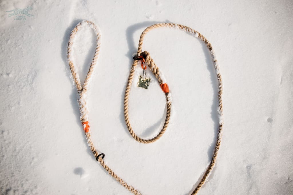 The Nantucket Slip Leash - Rope Leashes