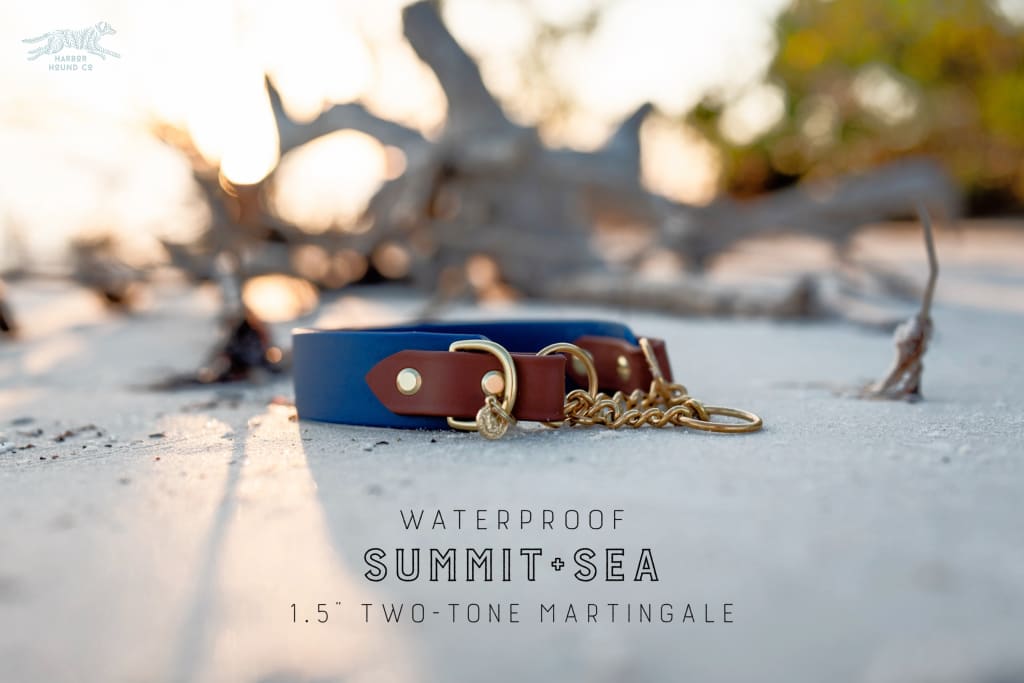 Deep Sea Navy and Chestnut Biothane webbing waterproof martingale dog collar