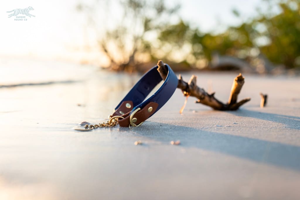 Deep Sea Navy and Chestnut Biothane webbing waterproof martingale dog collar