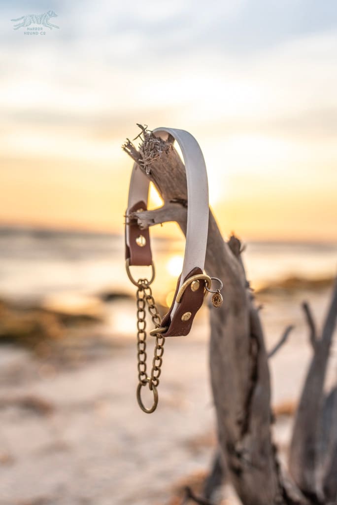 The Rua 1 Two-Tone Waterproof Martingale Collar - Waterproof Collar