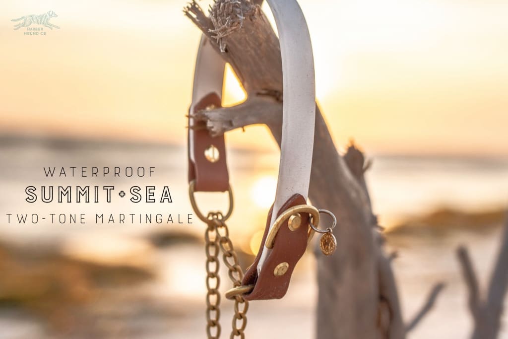 The Rua 1 Two-Tone Waterproof Martingale Collar - Waterproof Collar